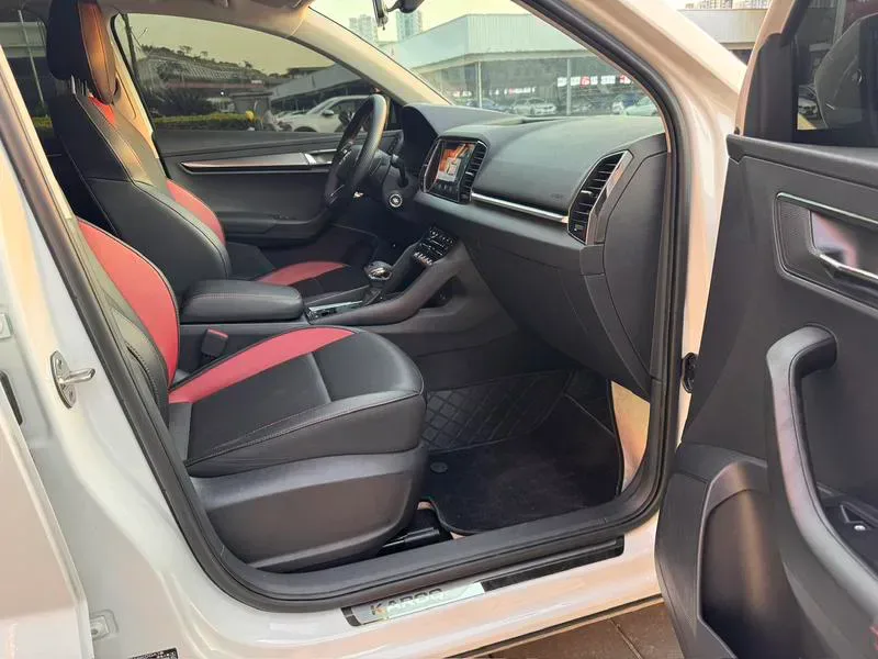 Skoda Karoq 2024 — photo 19 of 20