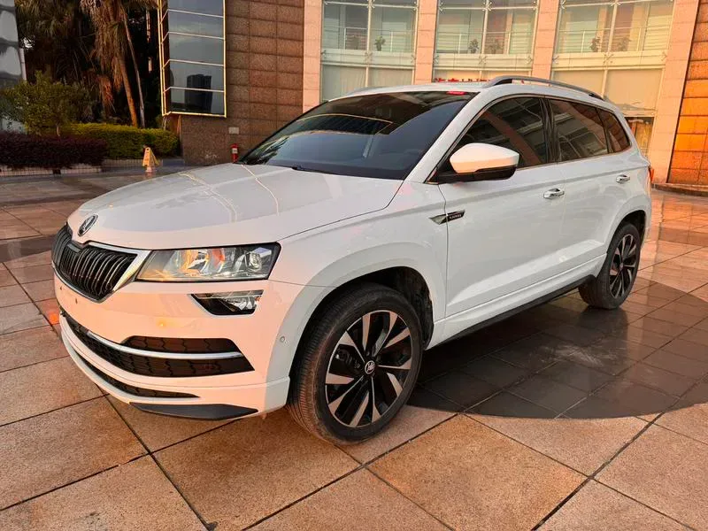 Skoda Karoq 2024