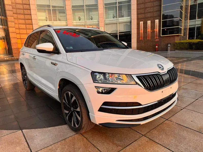 Skoda Karoq 2024 — photo 3 of 20