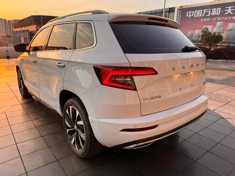 Skoda Karoq 2024 — photo 4 of 20