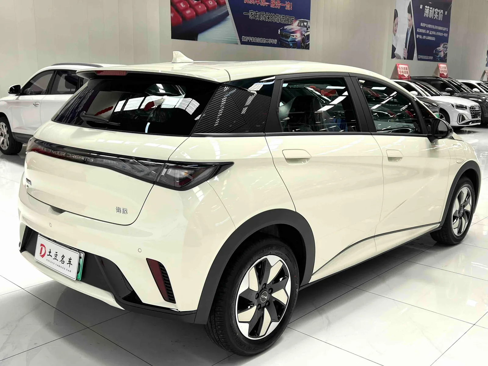 BYD Dolphin 2025 — photo 6 of 19