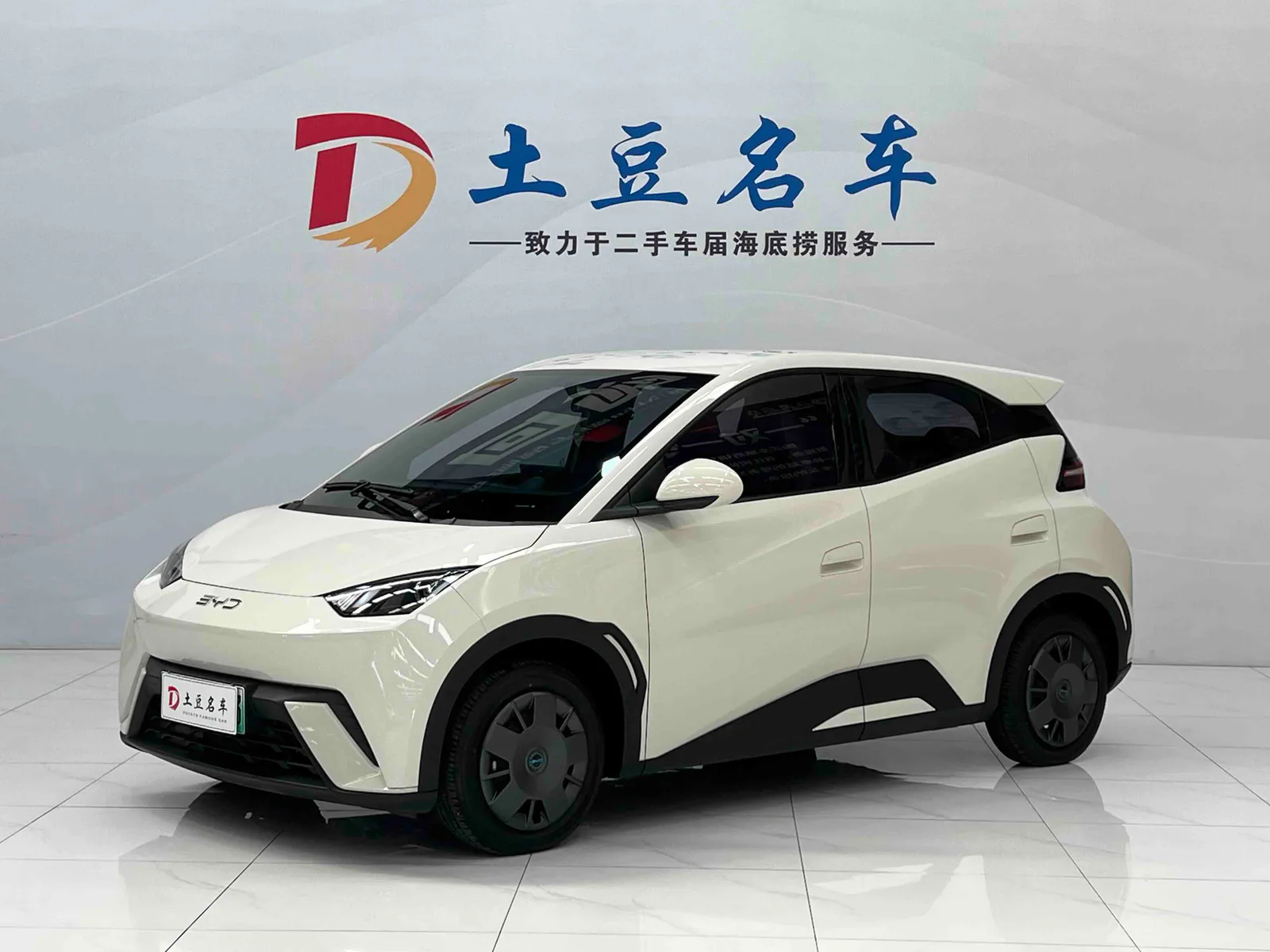 BYD Seagull 2025