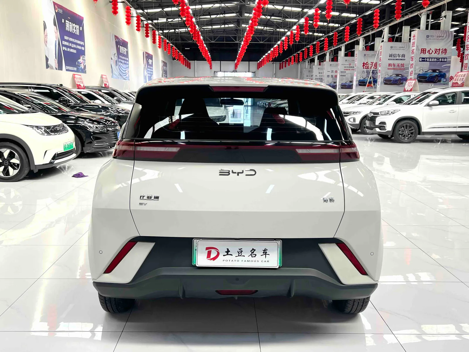 BYD Seagull 2025 — photo 5 of 18