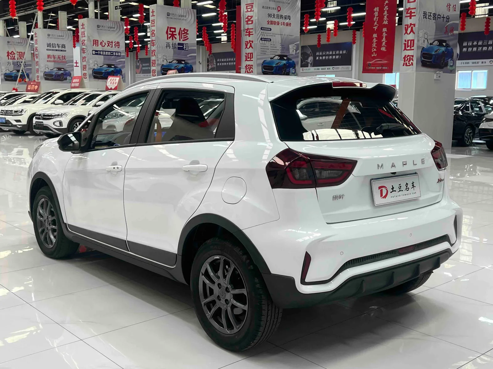 Rui Blue Automobile X3 PRO 2022 — photo 6 of 19